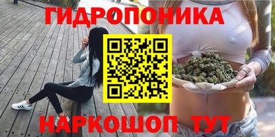 стафф Жуковский